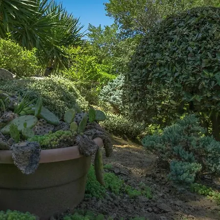 公寓式酒店 Bendita Mare 金沙