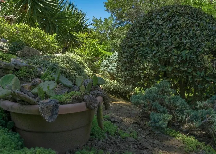 Lejlighedshotel Bendita Mare Golden Sands